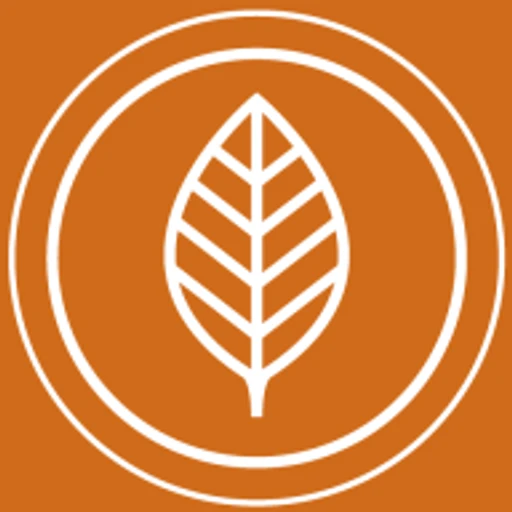 Black African Organics logo