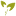 Cubs logo