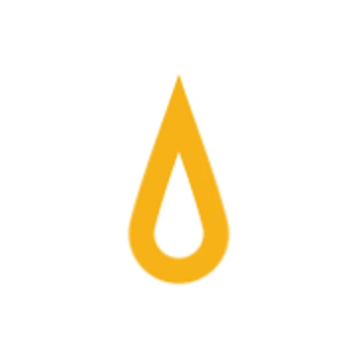 Epi max logo