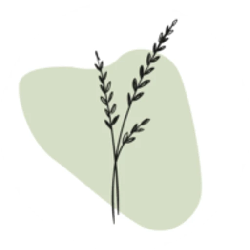 Green Dawning logo